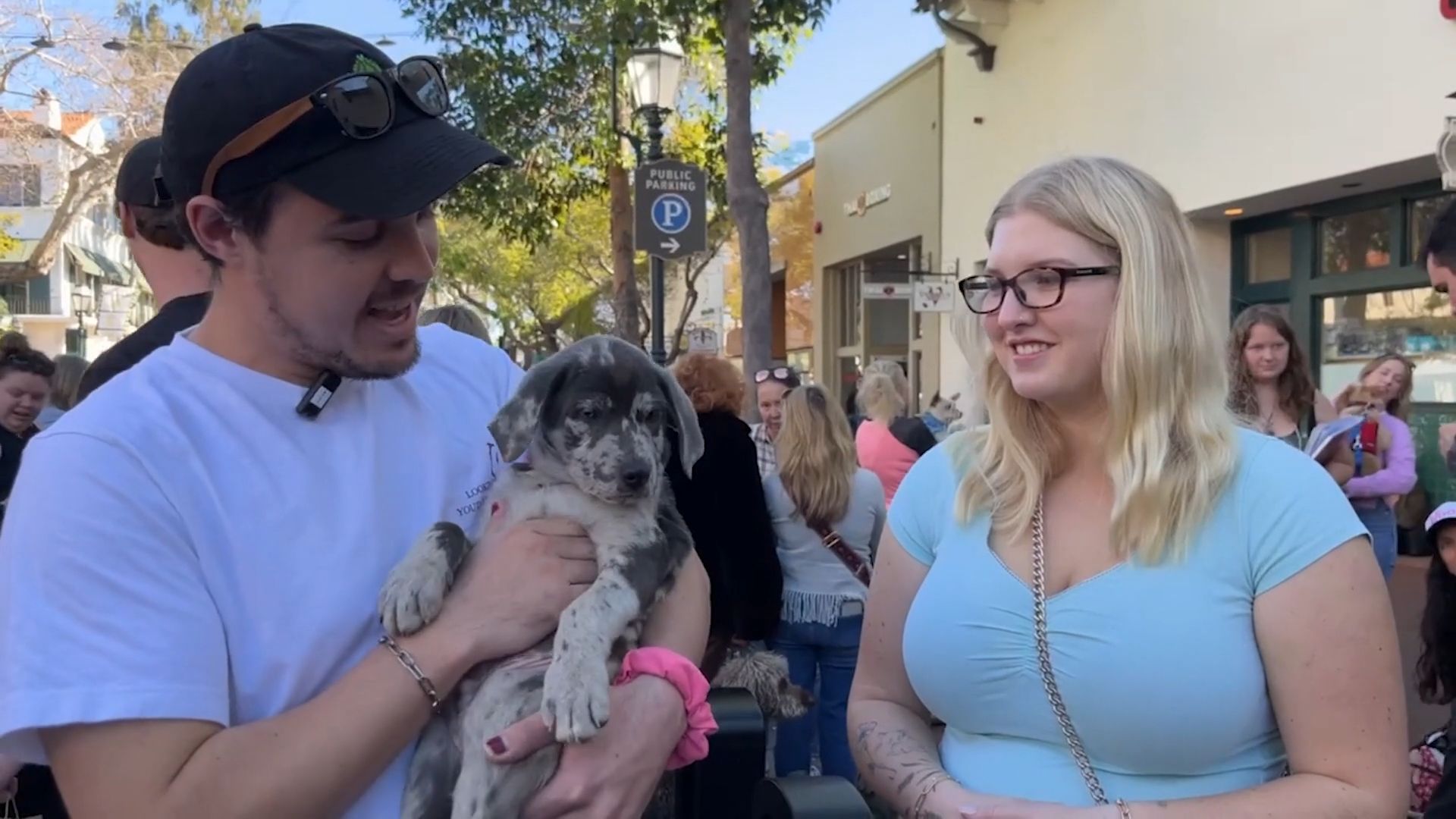 Dog Adoption Event thumbnail